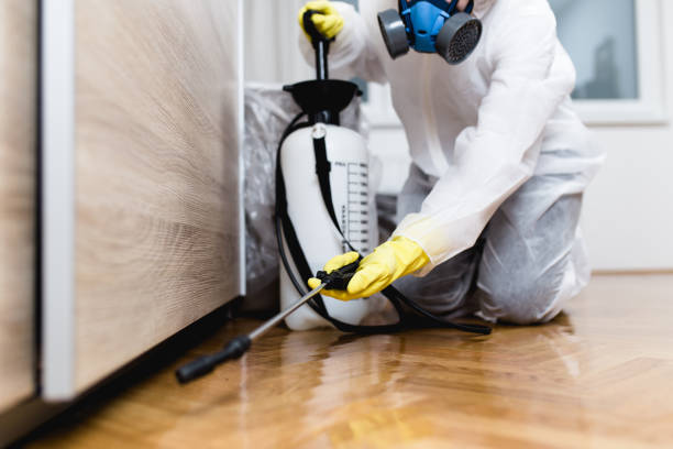 Best Pest Inspection Near Me  in Lake Waynoka, OH