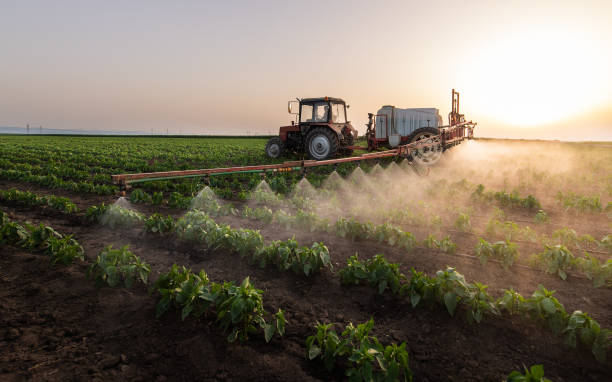 Best Pest Control Treatment  in Lake Waynoka, OH
