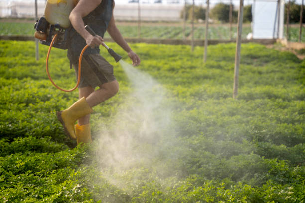 Best Affordable Pest Control Services  in Lake Waynoka, OH