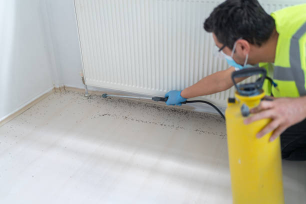 Best Best Pest Control Companies  in Lake Waynoka, OH