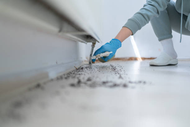 Best Emergency Pest Control  in Lake Waynoka, OH
