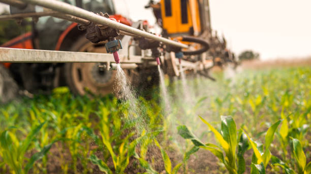 Best Ant Control Services  in Lake Waynoka, OH